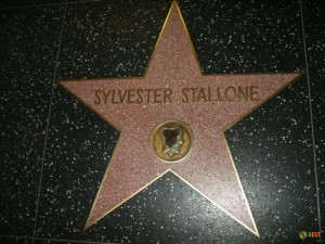 Звезда Сильвестра Сталлоне на голливудской Аллее звезд