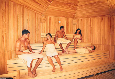sauna_fin
