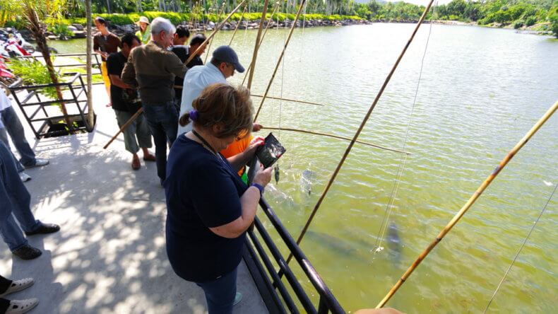 Ловля рыбы в парке Нонг Нуч
