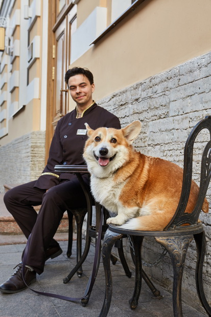 ACADEMIA Особняк Шувалова – первый в Петербурге отель 4* с сертификатом Pet Friendly 3
